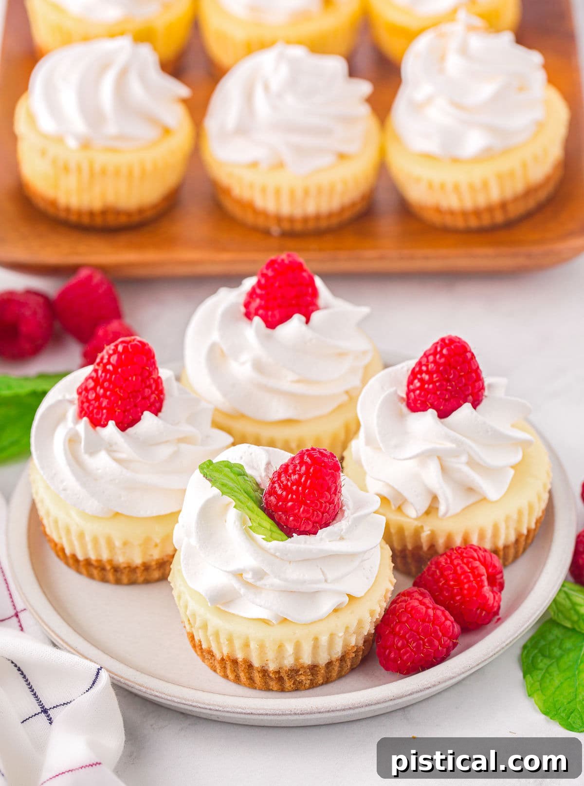 top down angled view of four mini cheesecakes on a plate with whipped cream and raspberries on top. six more mini cheesecake can be seen on a wood board in the background.