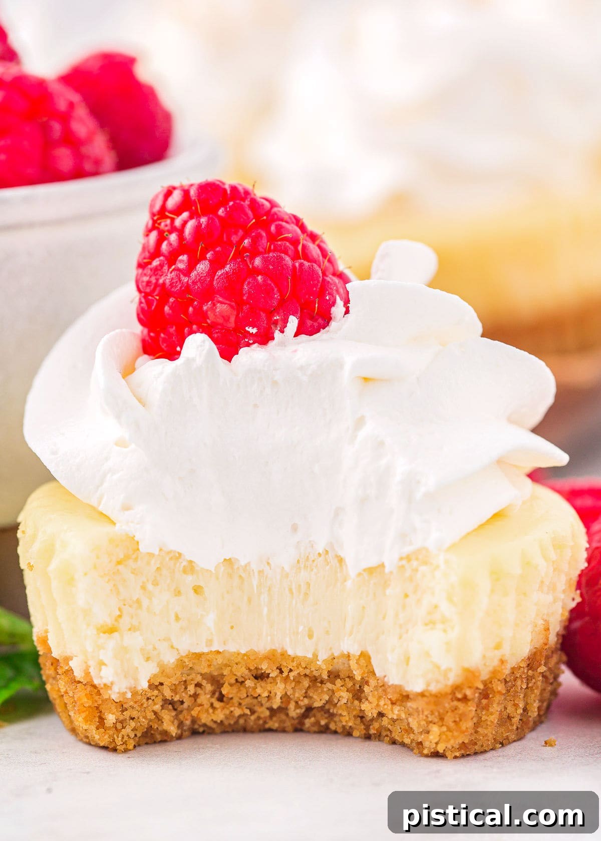 close up of a mini cheesecake with a bite taken out of it.