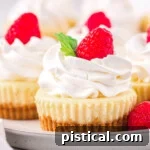 mini cheesecakes sitting on a gray plate topped with whipped cream, raspberries and mint leaves.