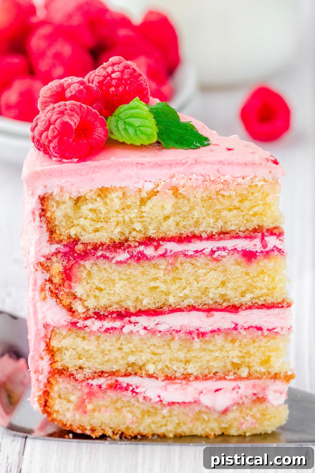 A tall, elegant slice of vanilla cake, showcasing four distinct layers perfectly separated by luscious raspberry buttercream. This visually stunning dessert is ready to be savored.