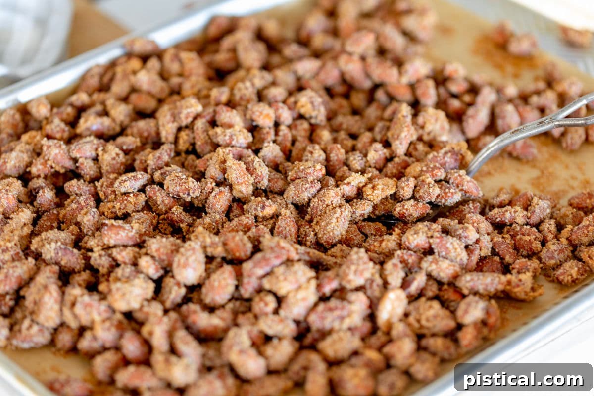 Candied almonds prepared on a sheet tray with a spatula ready to scoop some off the tray.