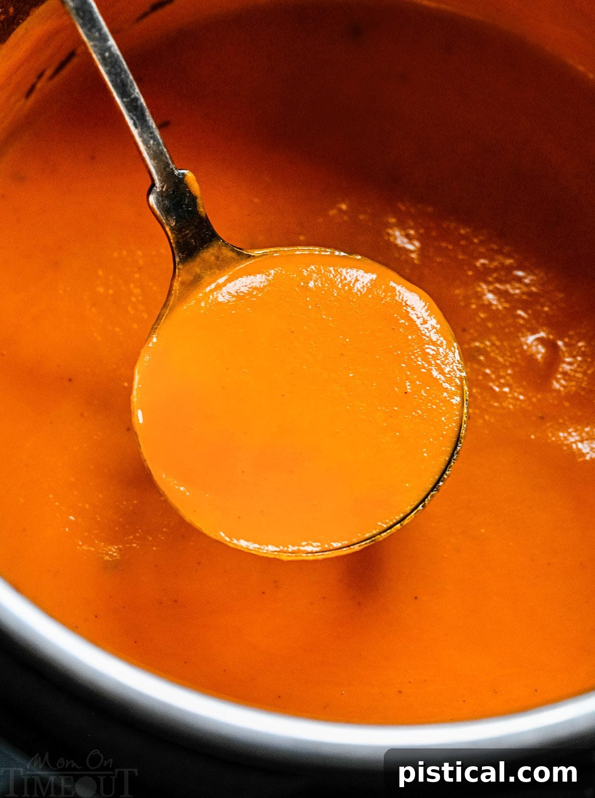 An Instant Pot filled with a bubbling, vibrant red tomato soup. A ladle is gently lifting a spoonful, showcasing the soup's rich texture.
