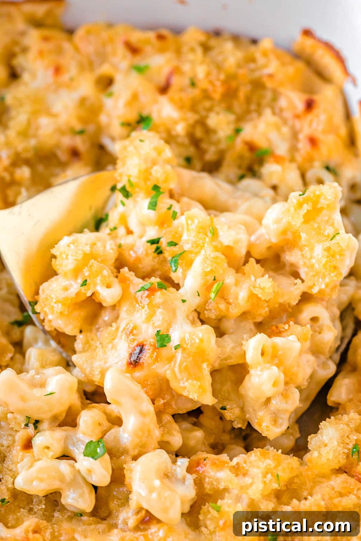 Close-up of creamy Velveeta Mac and Cheese in a baking dish, with a golden spoon scooping out a serving.