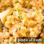 Close-up of creamy Velveeta Mac and Cheese in a baking dish, with a golden spoon scooping out a serving.