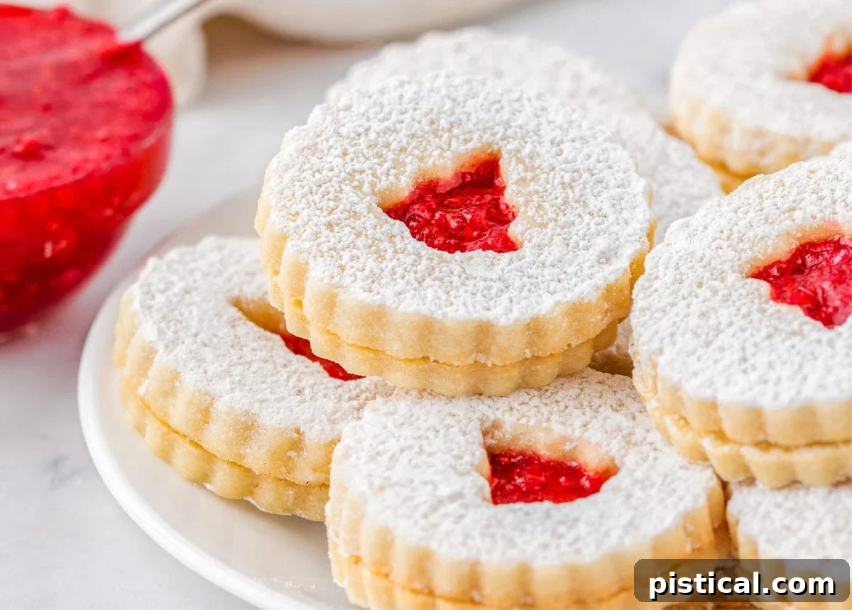 Classic Linzer Cookie Delights 6 linzer cookie recipe assembled with raspberry jam filling and topped with powdered sugar.