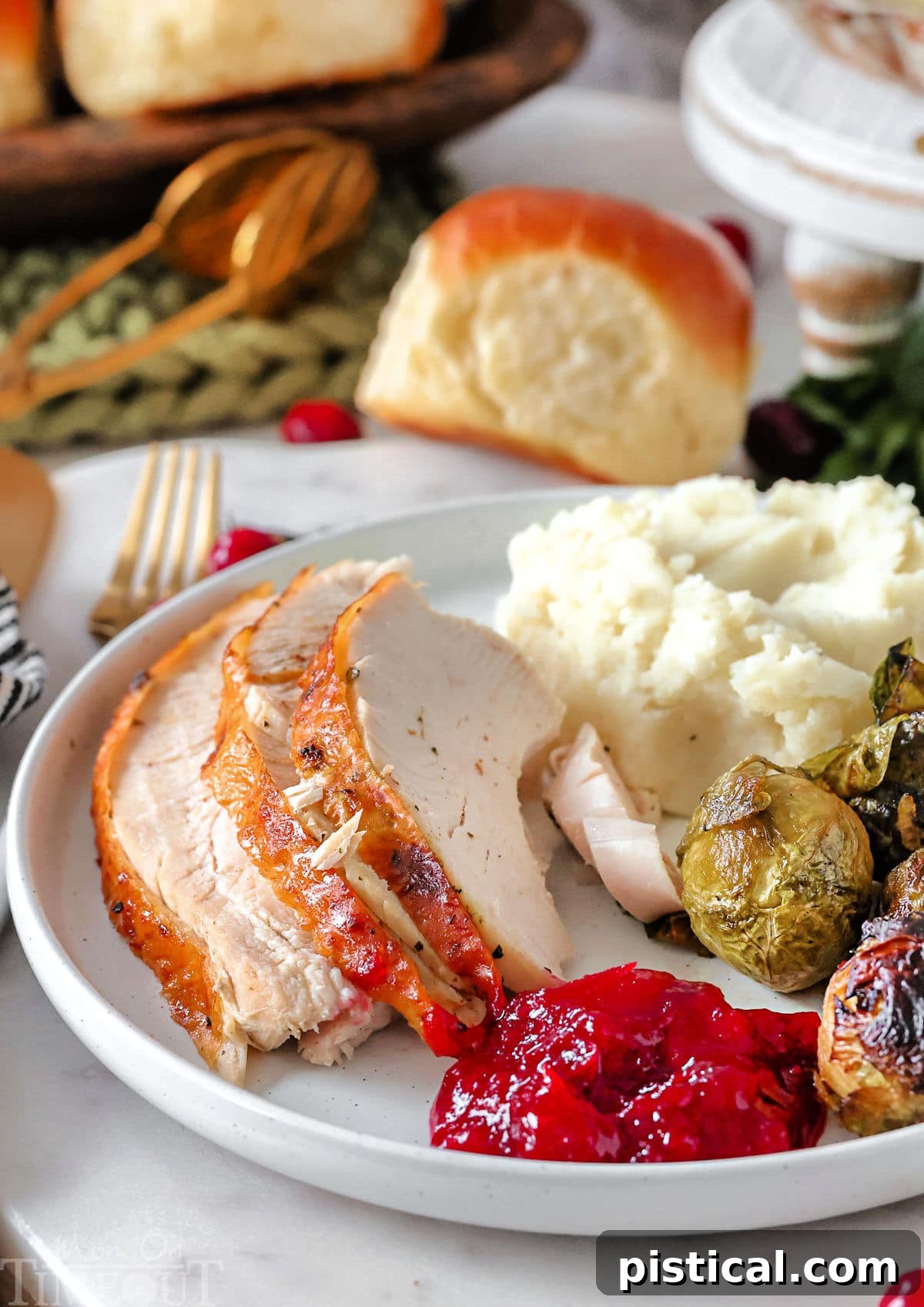 A perfectly cooked turkey recipe plated with traditional cranberry sauce and creamy mashed potatoes on a white round plate.