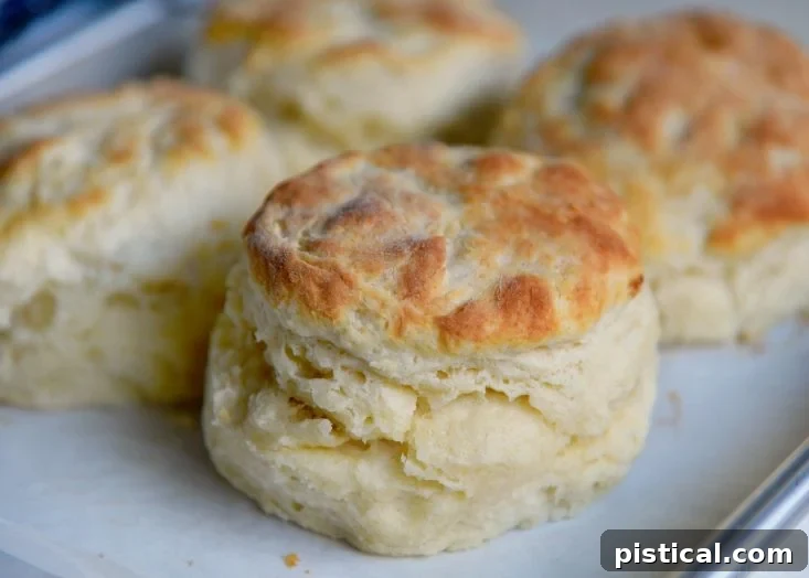 Best Homemade Biscuit Recipe