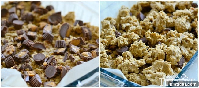 reeses-bar-square