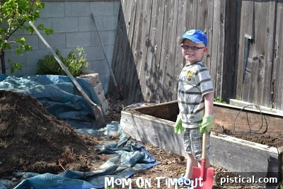 emptying old planter box