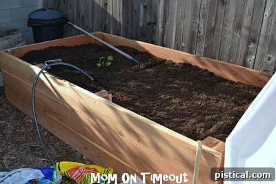 planting in new raised garden bed