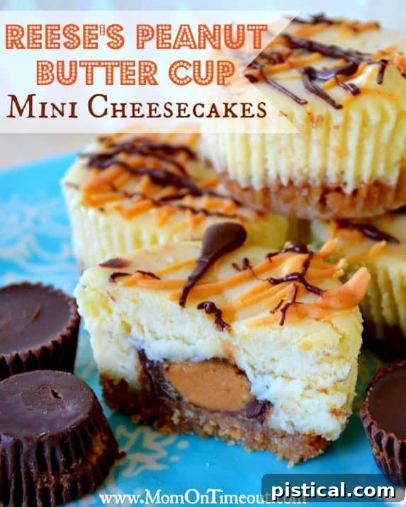 Delicious Reese's Peanut Butter Cup Mini Cheesecakes drizzled with chocolate and peanut butter, perfect for any occasion.