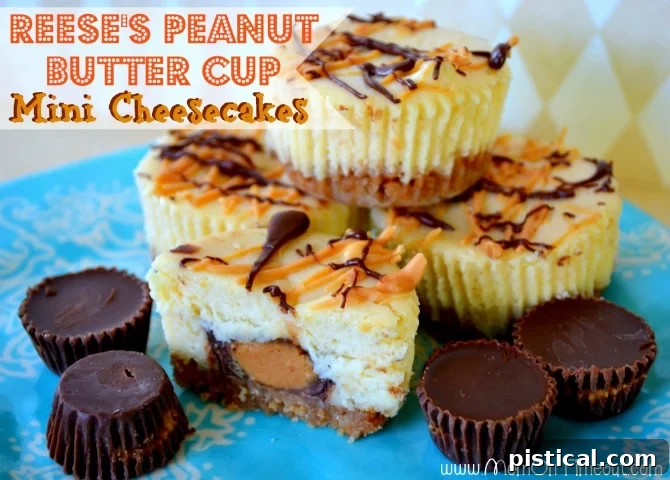 Close-up of baked Reese's Mini Cheesecakes, showing the perfect crust and filling.