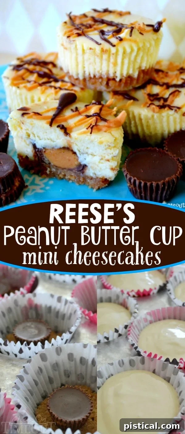 Delicious Reese's Peanut Butter Cup Mini Cheesecakes, perfect for any dessert table.