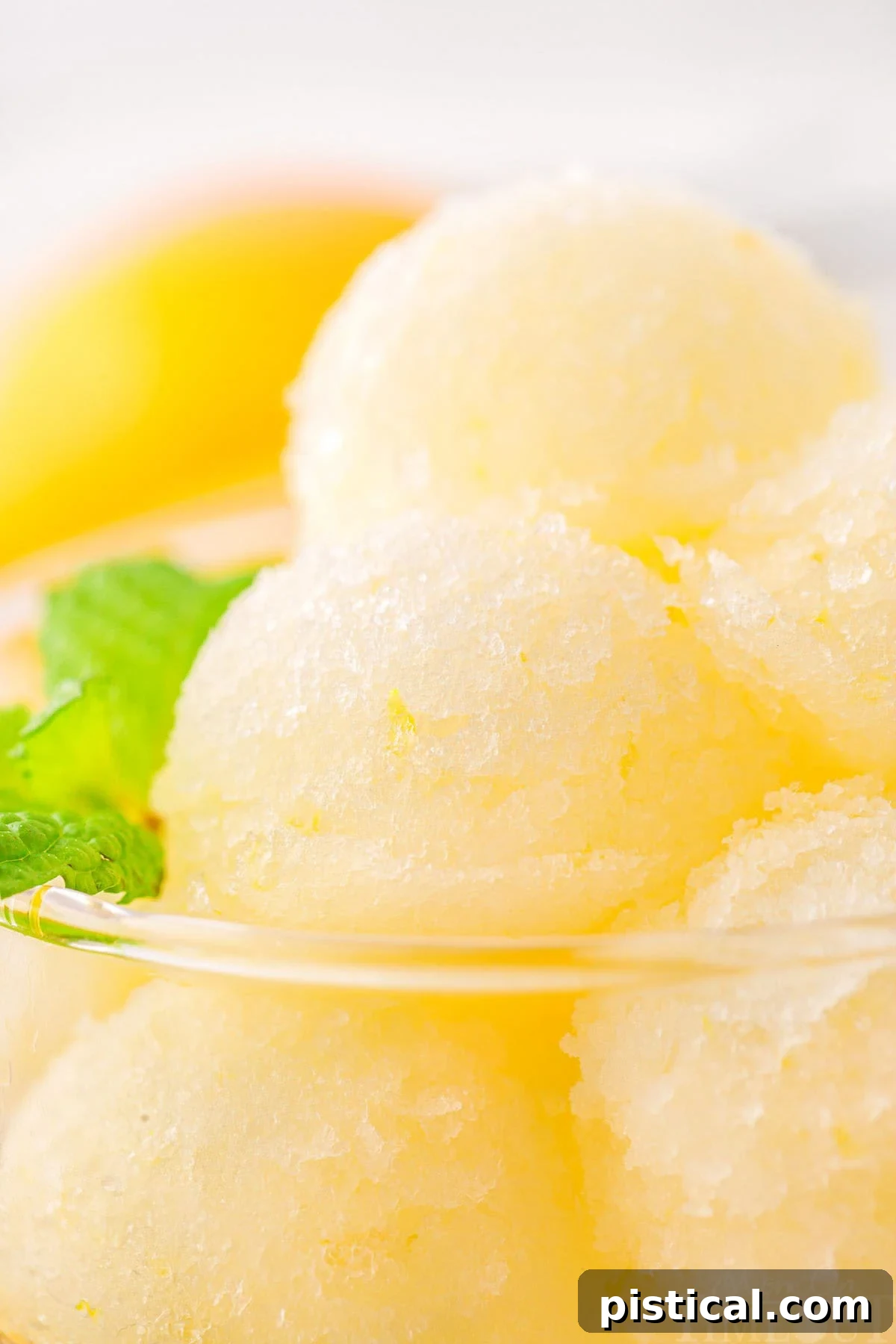 Close-up view of perfectly scooped lemon sorbet, highlighting its smooth and icy texture.