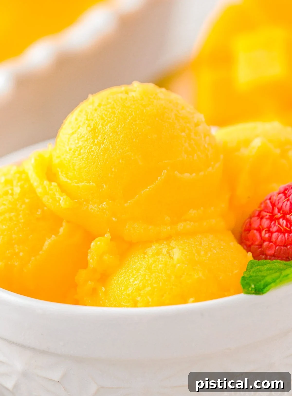 Scoops of vibrant mango sorbet elegantly presented in a pristine white bowl, garnished with fresh mint.