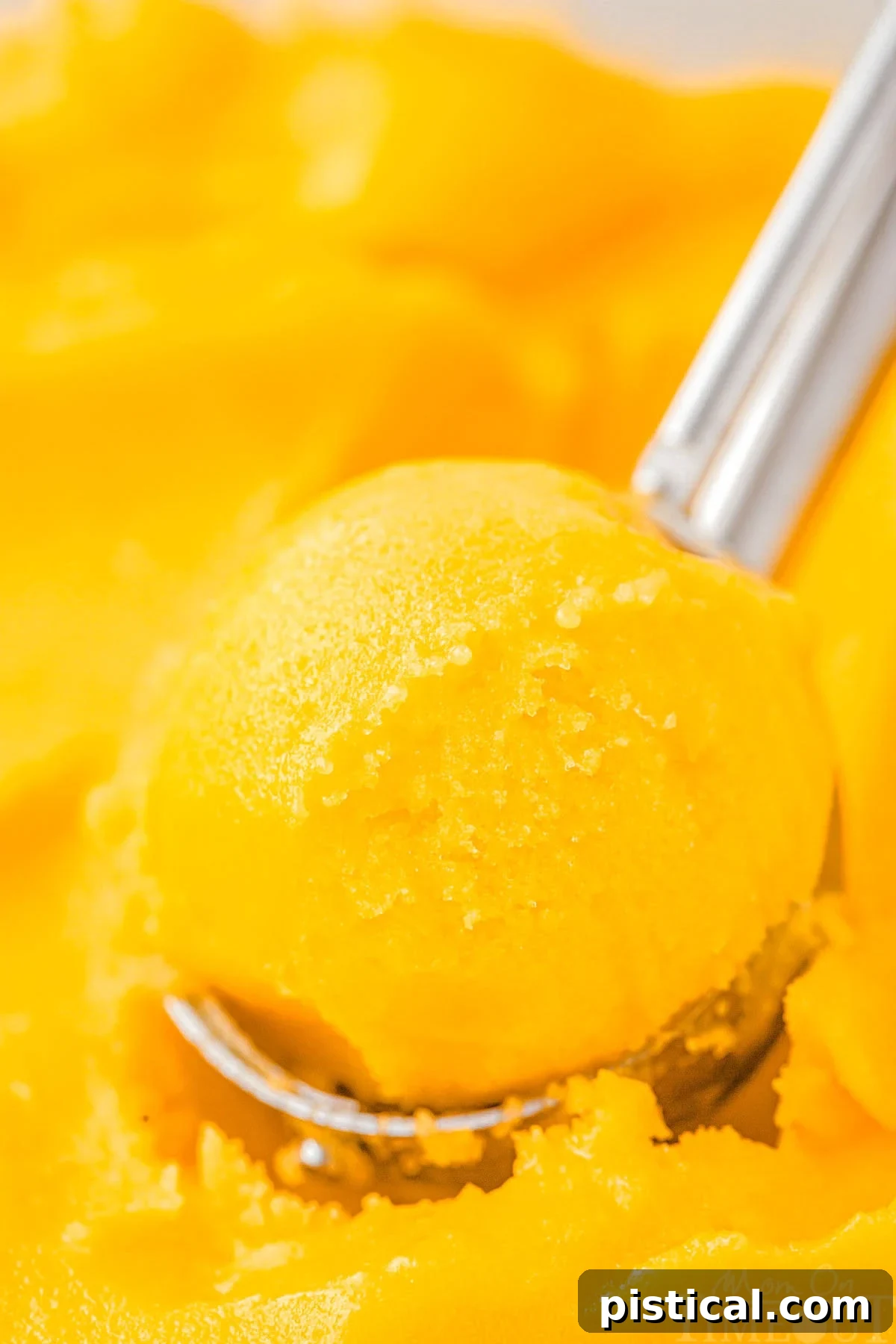 An ice cream scoop delicately serving a portion of homemade mango sorbet into a bowl.