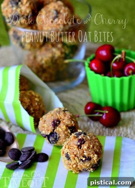 Dark Chocolate and Cherry Peanut Butter Oat Bites | MomOnTimeout.com Delicious Dark Chocolate and Cherry Peanut Butter Oat Bites stacked high on a plate