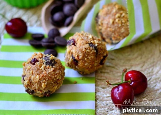 Dark Chocolate and Cherry Peanut Butter Oat Bites | MomOnTimeout.com Dark Chocolate and Cherry Peanut Butter Oat Bites arranged neatly in a bowl