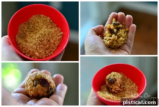 Dark Chocolate and Cherry Peanut Butter Oat Bites | MomOnTimeout.com Collage of Dark Chocolate and Cherry Peanut Butter Oat Bites ingredients and final product
