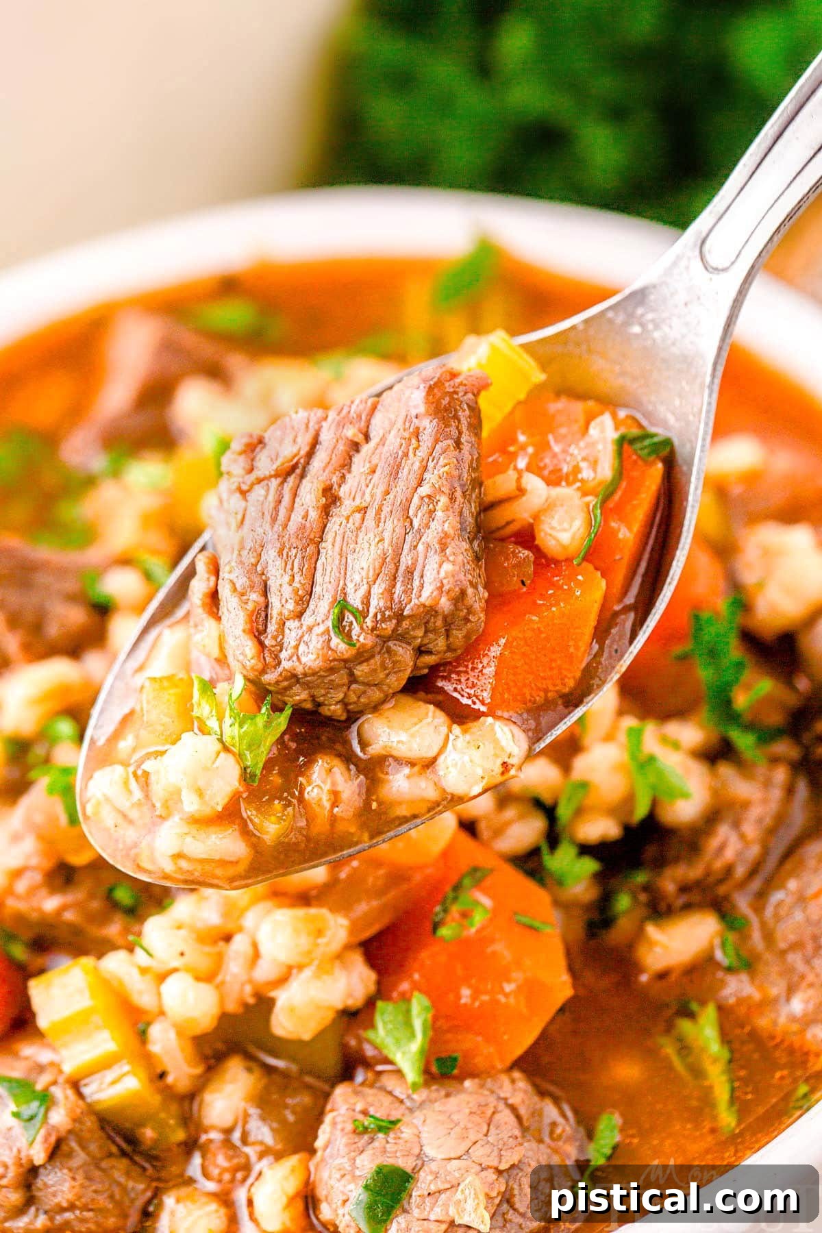 Hearty Beef Barley Stew 7 A spoon holding a serving of beef and barley soup over a white bowl.