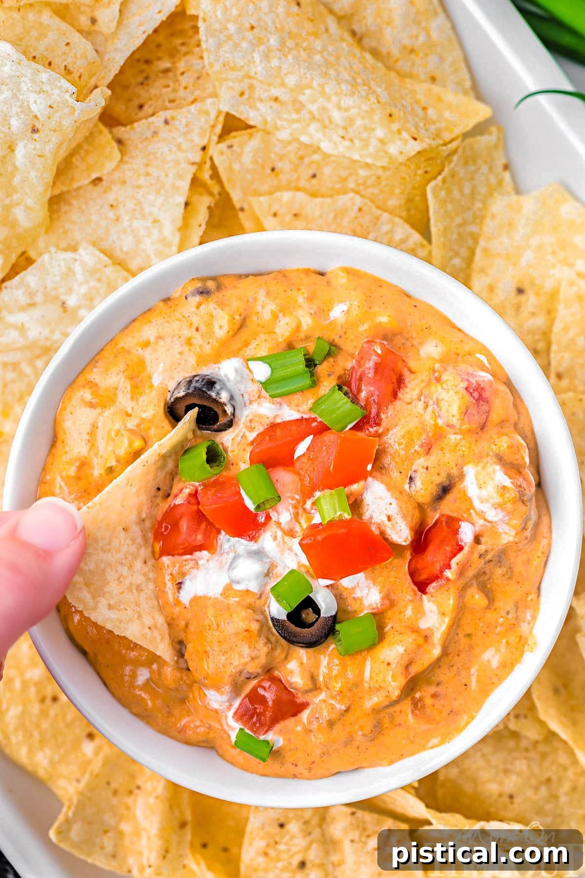 Warm & Cheesy Slow Cooker Taco Dip 6 A top down shot of a bowl of crockpot taco dip with a hand dipping a chip into it.