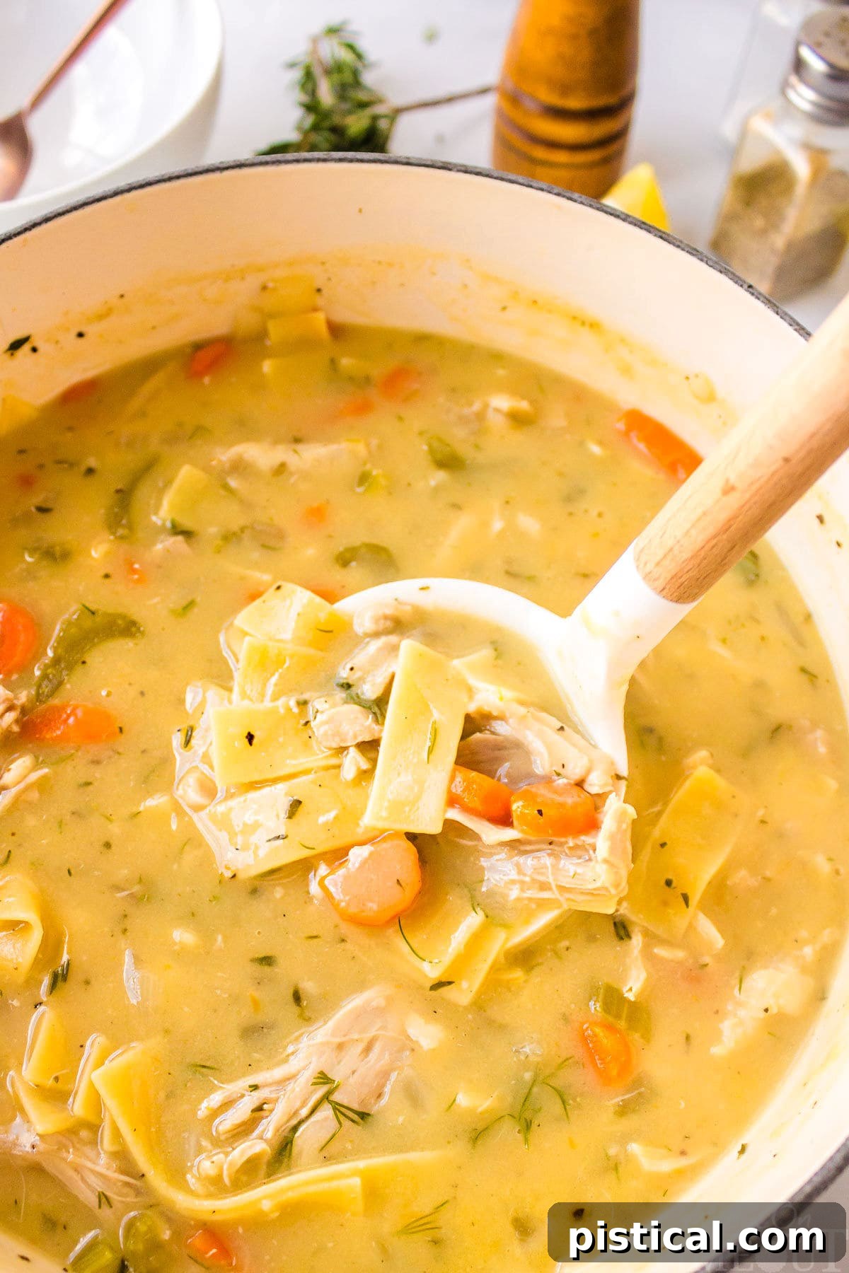 Silky Chicken Noodle Bliss 3 A serving spoon in a pot of chicken noodle soup.