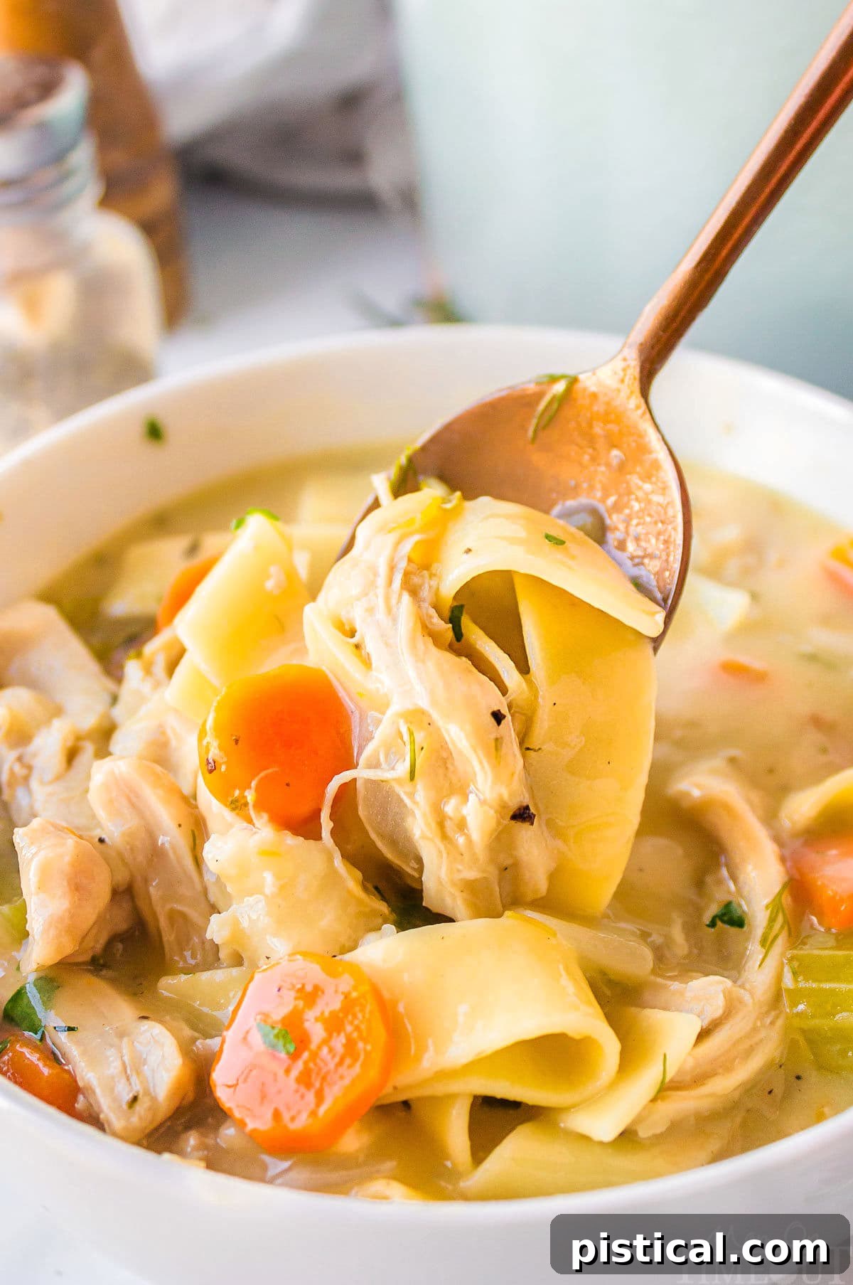 Silky Chicken Noodle Bliss 7 A spoon holding chicken and noodles over a bowl of chicken noodle soup.