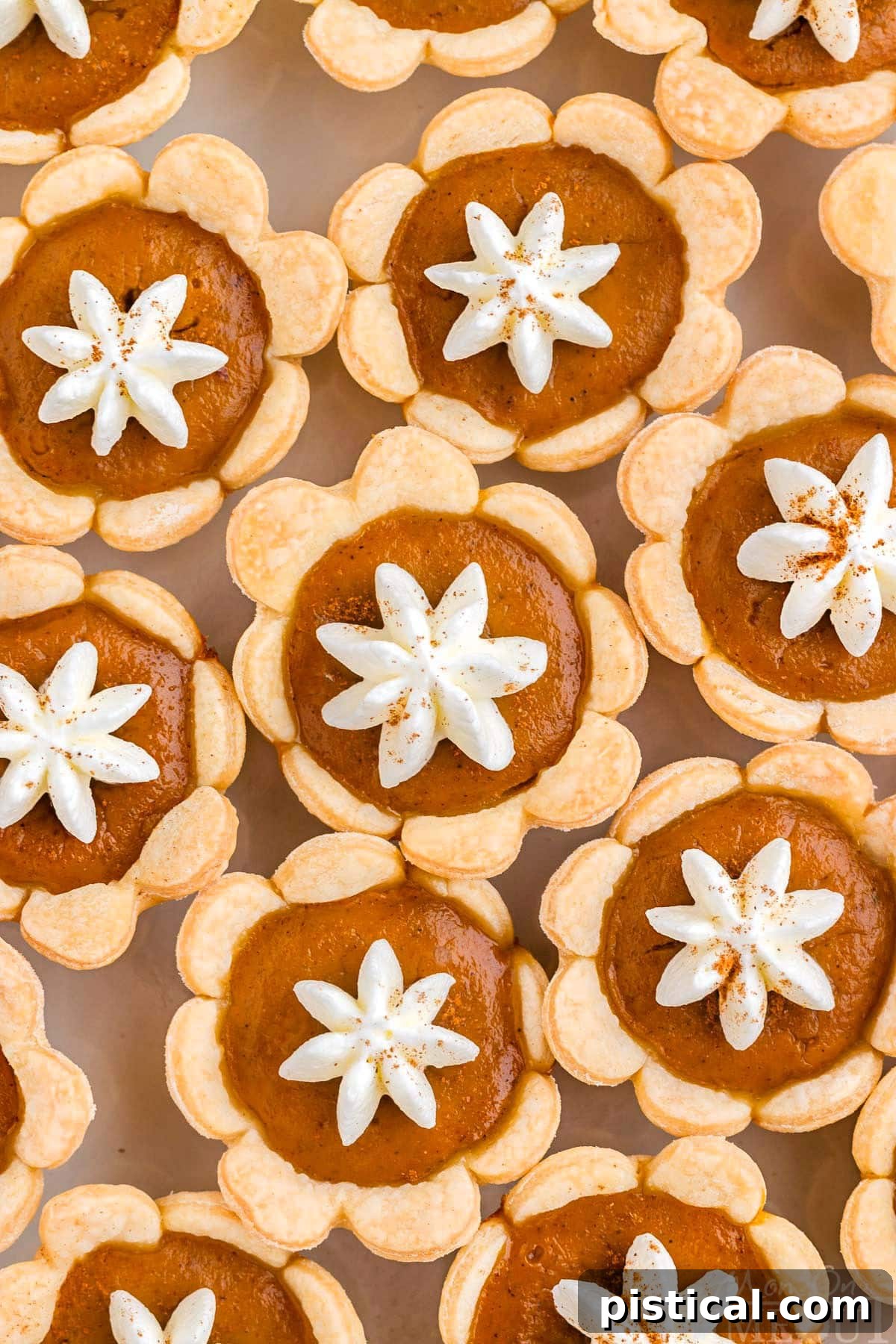 Top down shot of mini pumpkin pies with whipped cream dollops and a dusting of cinnamon, perfect for fall celebrations.