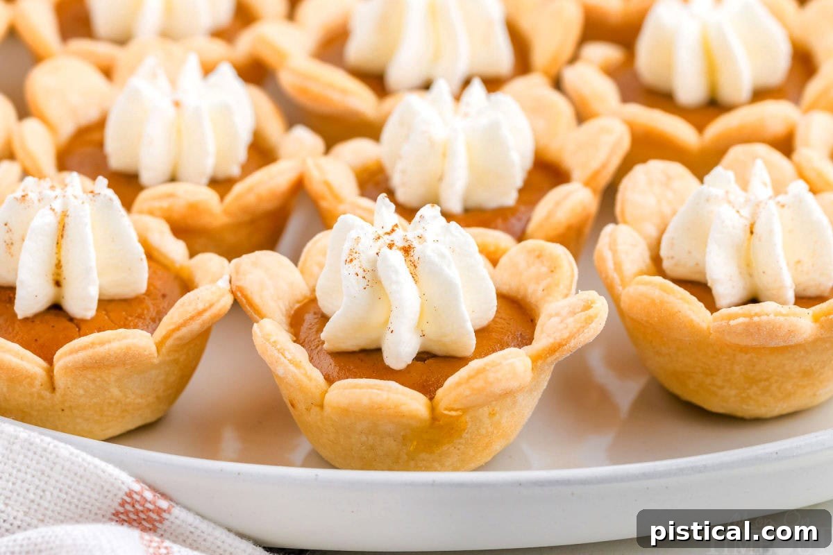 Side view of mini pumpkin pies, showcasing their perfect individual sizes, on a white plate.