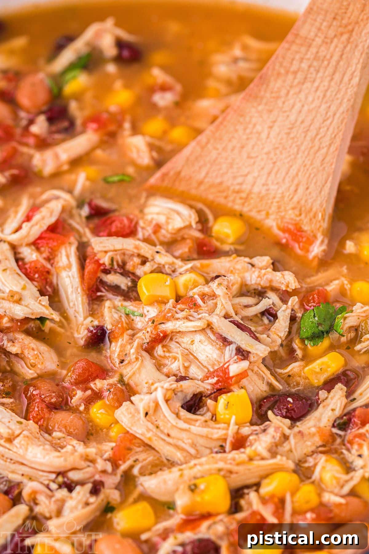 A wooden spoon rests inside a bowl of vibrant chicken taco soup, showcasing its rich texture and colors.