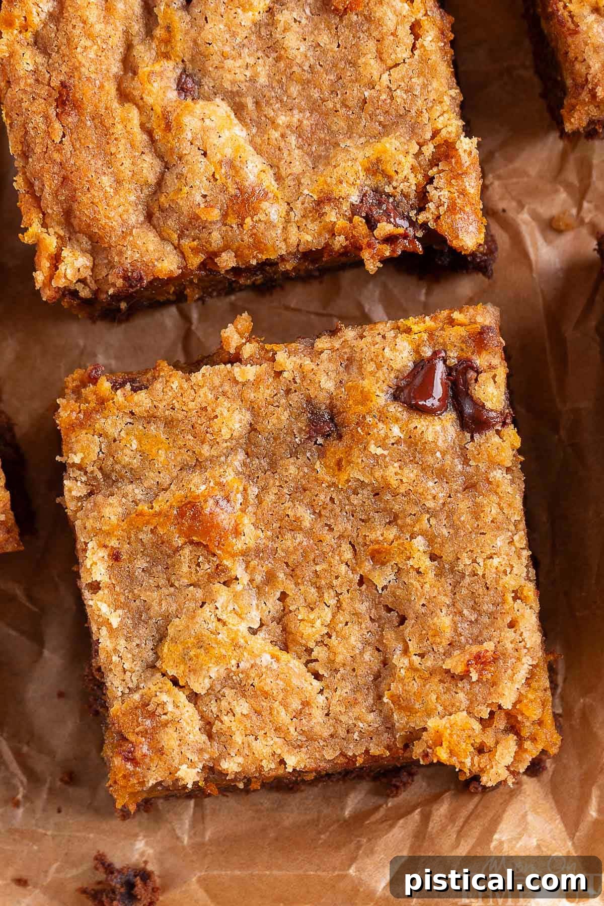 A top-down view of freshly baked Chocolate Pumpkin Cheesecake Bars, artfully arranged on a piece of brown parchment paper, ready for serving.