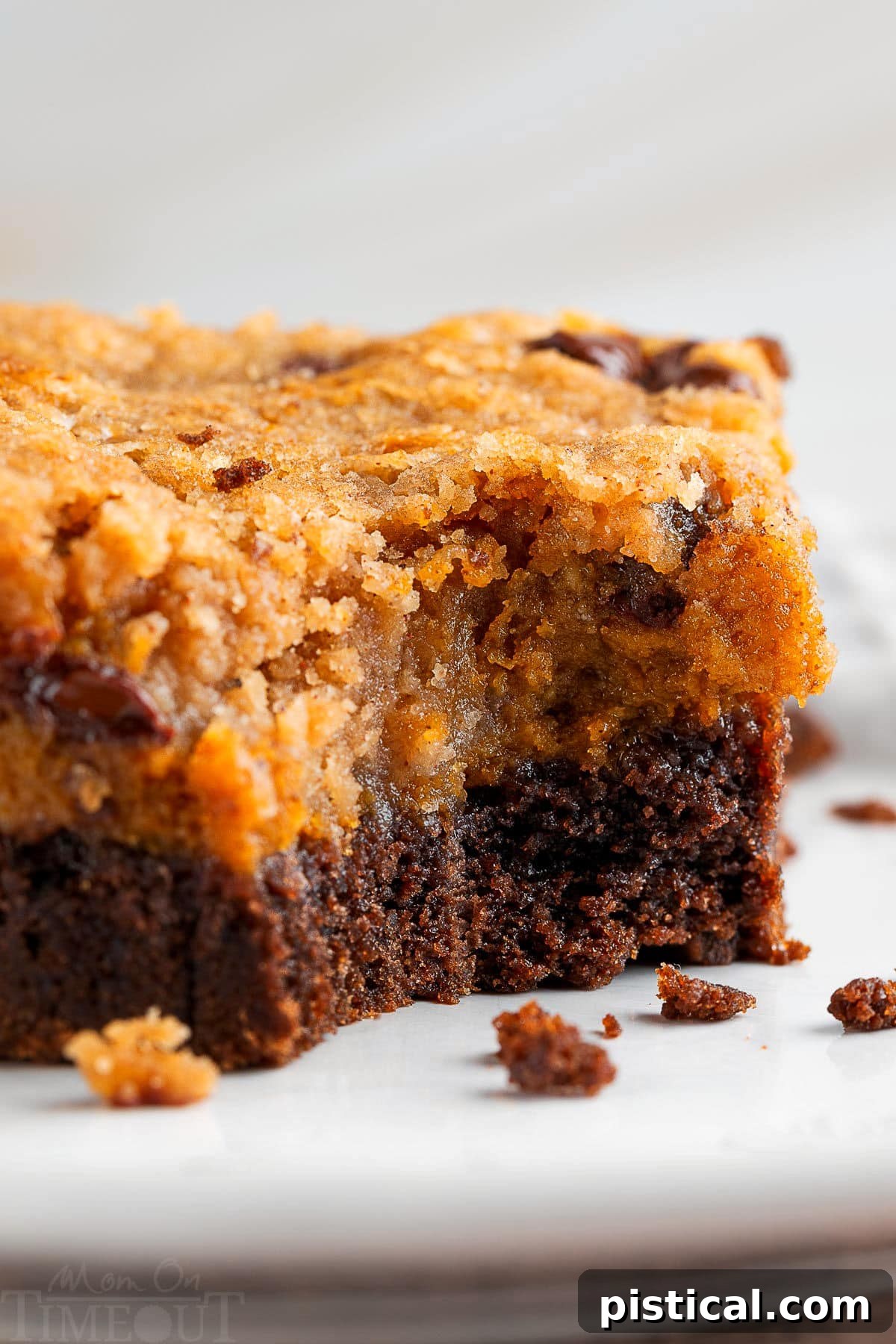 A close-up of a Chocolate Pumpkin Cheesecake Bar with a bite taken out, resting on a pristine white plate, revealing its delicious layers.