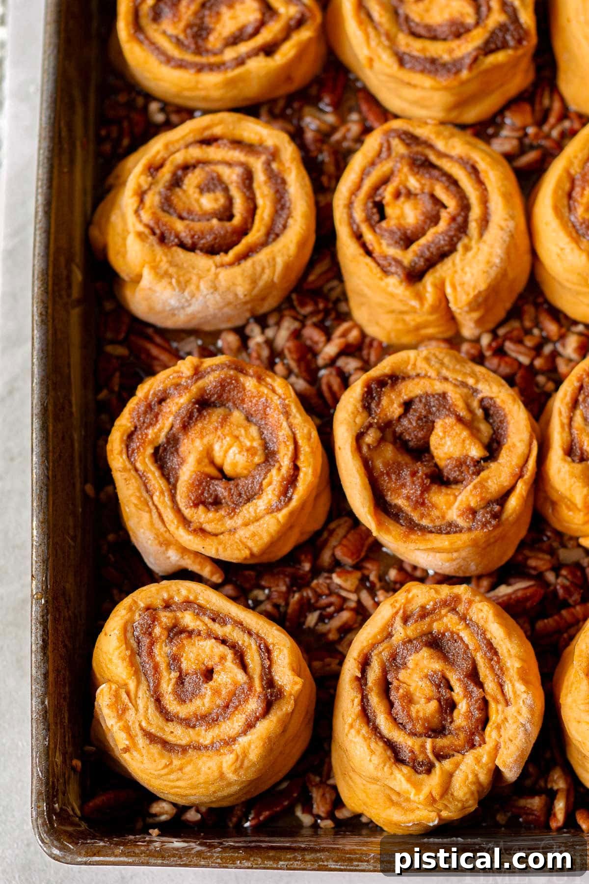 An overhead shot showcasing pumpkin sticky buns perfectly arranged in a baking pan, ready to be placed into the oven.