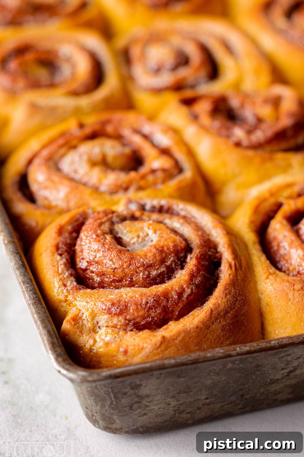 Beautifully baked pumpkin sticky buns nestled in a baking sheet, golden brown and bubbling with caramel, ready to be flipped and enjoyed.