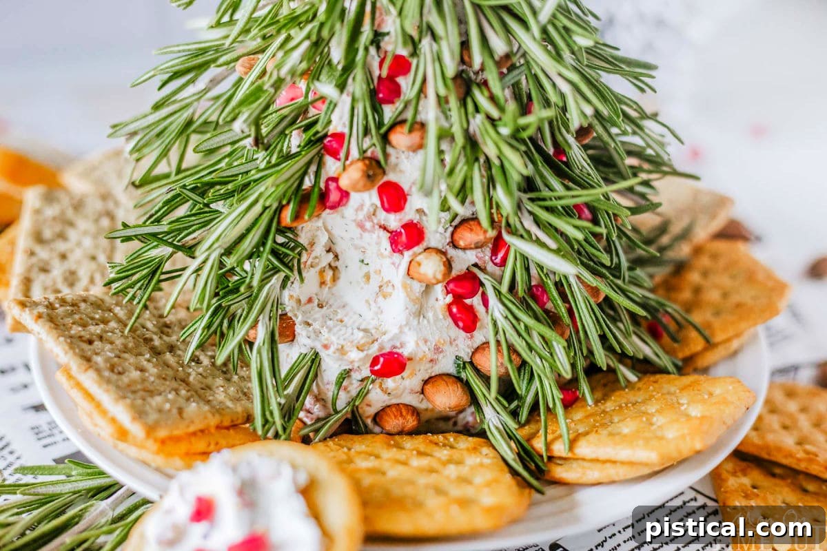 Close-up shot of a Christmas Tree Cheese Ball with crackers and one cracker spread with cheese.