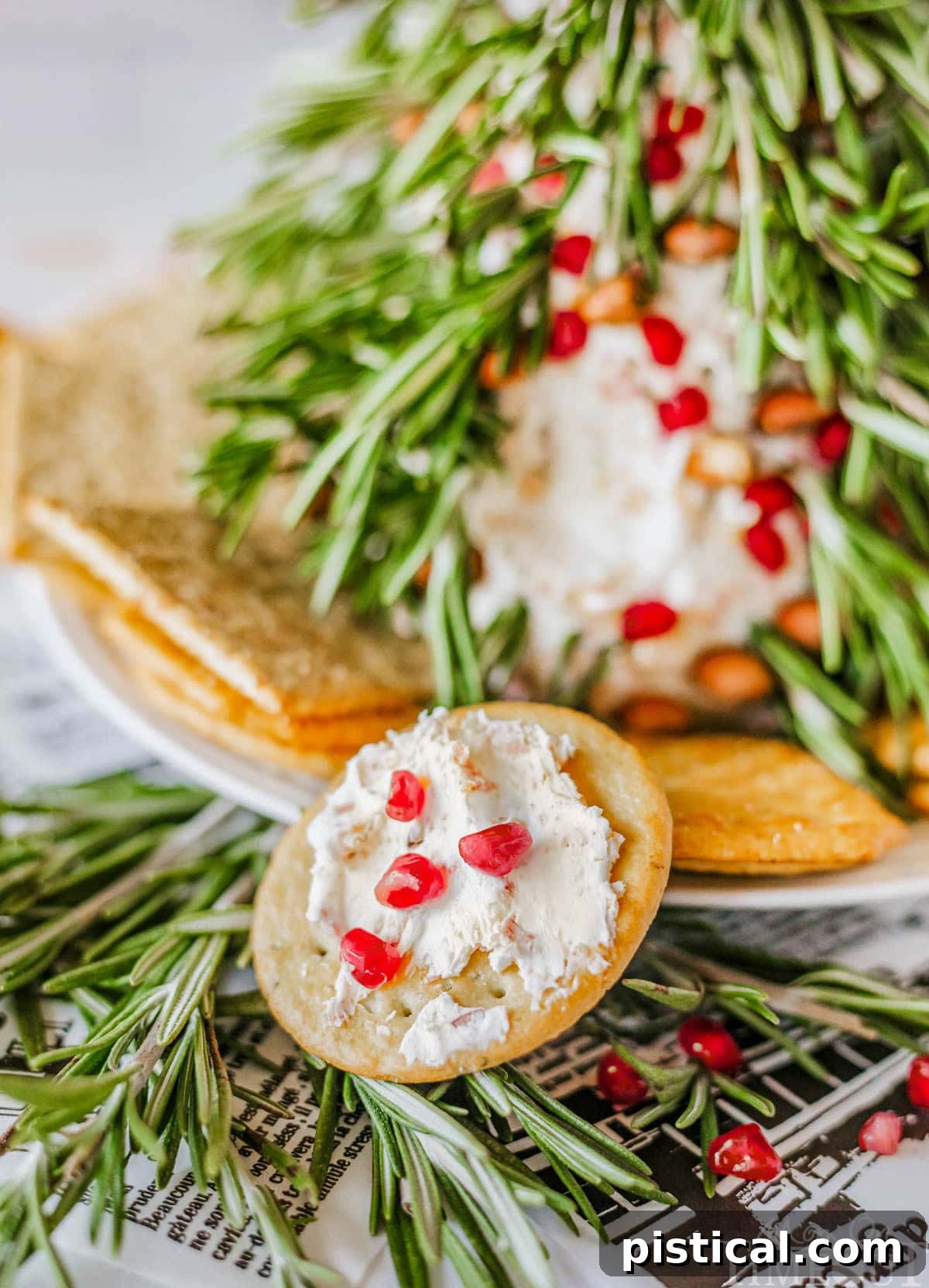 A cracker with Christmas Tree Cheese Ball spread on it, next to the main cheese ball on a platter.