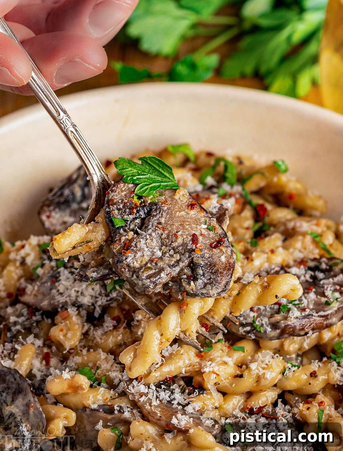 Close up shot of pasta and mushrooms being scooped up with a spoon from a white bowl.
