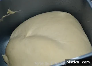 Pizza dough rising beautifully in a bread machine during the dough cycle. Shows the expanded, airy dough.