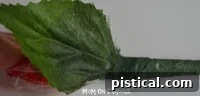 Adding artificial rose leaves to the stem
