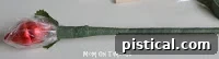 Finished floral tape on the stem
