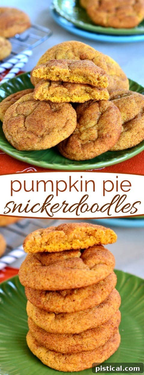 A collage of various pumpkin pie snickerdoodle images, highlighting the irresistible texture and vibrant fall colors of these delectable cookies, perfect for seasonal celebrations.