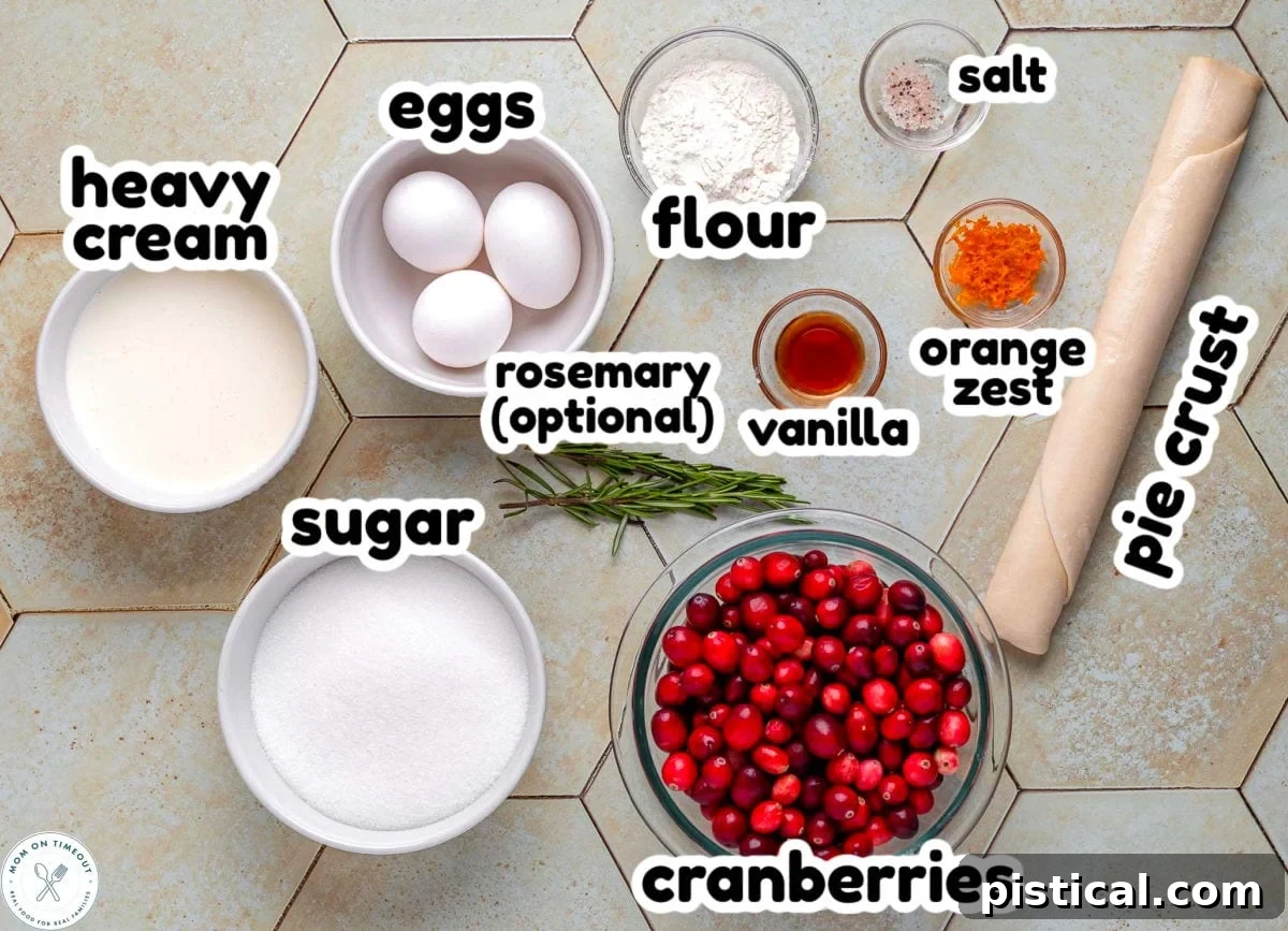 Ruby Red Custard Delight 4 An organized overhead shot showcasing all the measured ingredients for Cranberry Custard Pie, including fresh cranberries, sugar, eggs, cream, flour, salt, orange zest, and vanilla extract, meticulously arranged on a countertop, ready for baking.