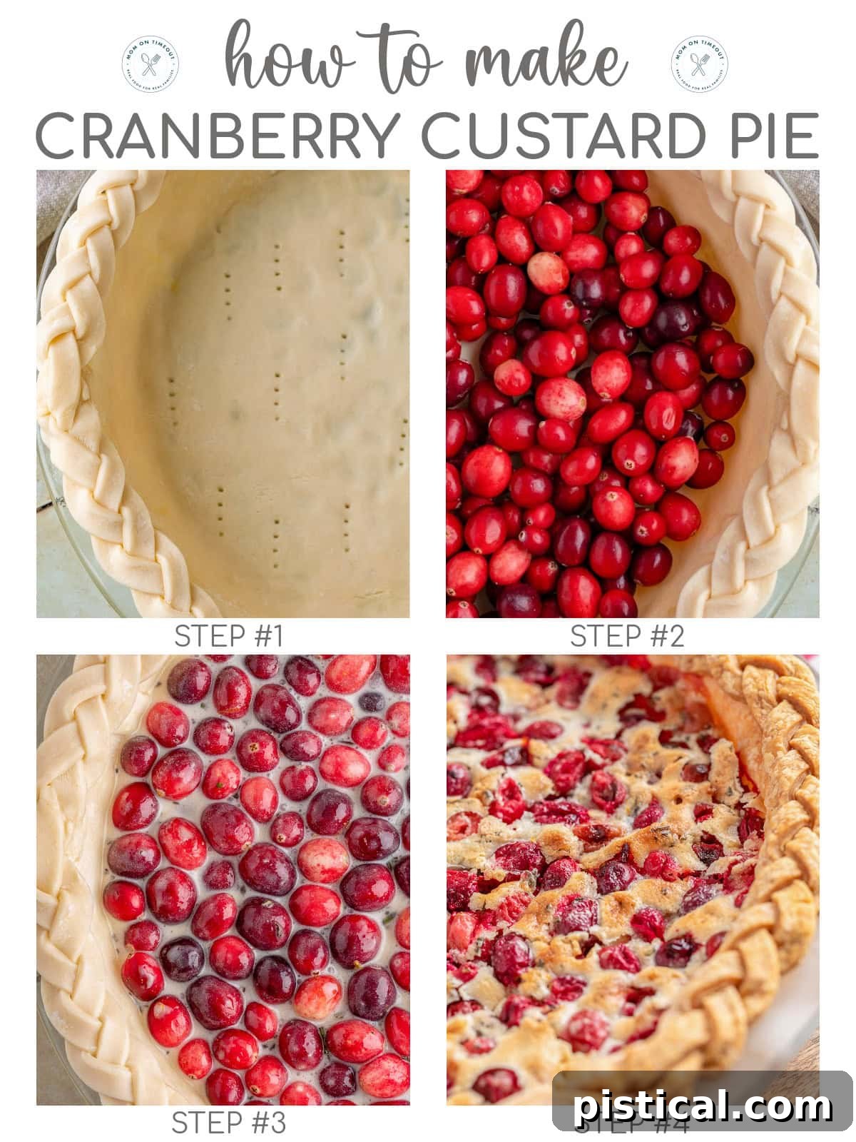 Ruby Red Custard Delight 5 A four-image collage demonstrating the key steps to making Cranberry Custard Pie: preparing the crust, adding cranberries, pouring custard, and the finished baked pie, with a clear title overlay 'How To Make Cranberry Custard Pie'.