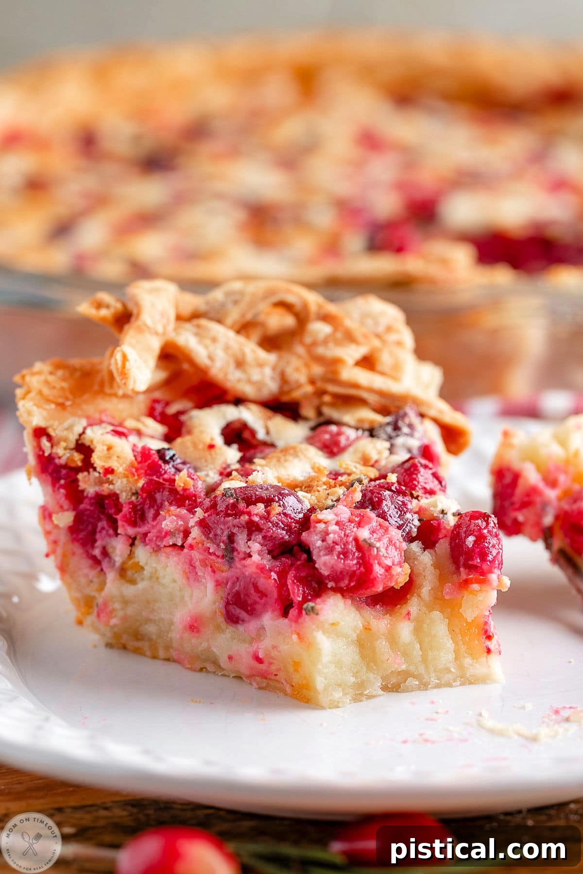 Ruby Red Custard Delight 6 A close-up shot of a single slice of Cranberry Custard Pie on a white plate, with a small bite taken from the edge, highlighting its luscious texture and vibrant fruit filling, ready to be savored.