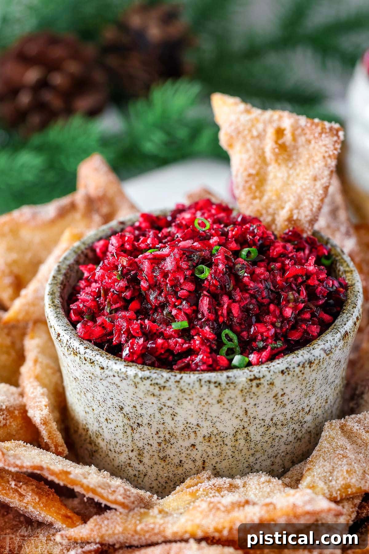 Zesty Cranberry Salsa 2 Large hand made pottery bowl with fresh cranberry salsa in it. The bowl is surround with cinnamon sugar chips.