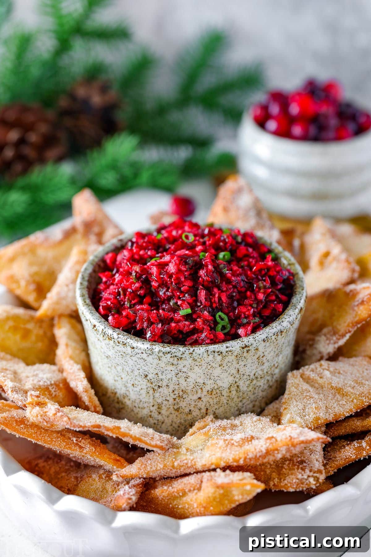 Zesty Cranberry Salsa 5 Bowl of cranberry salsa surrounded by chips. Fresh cranberries and greenery can be seen in the background.
