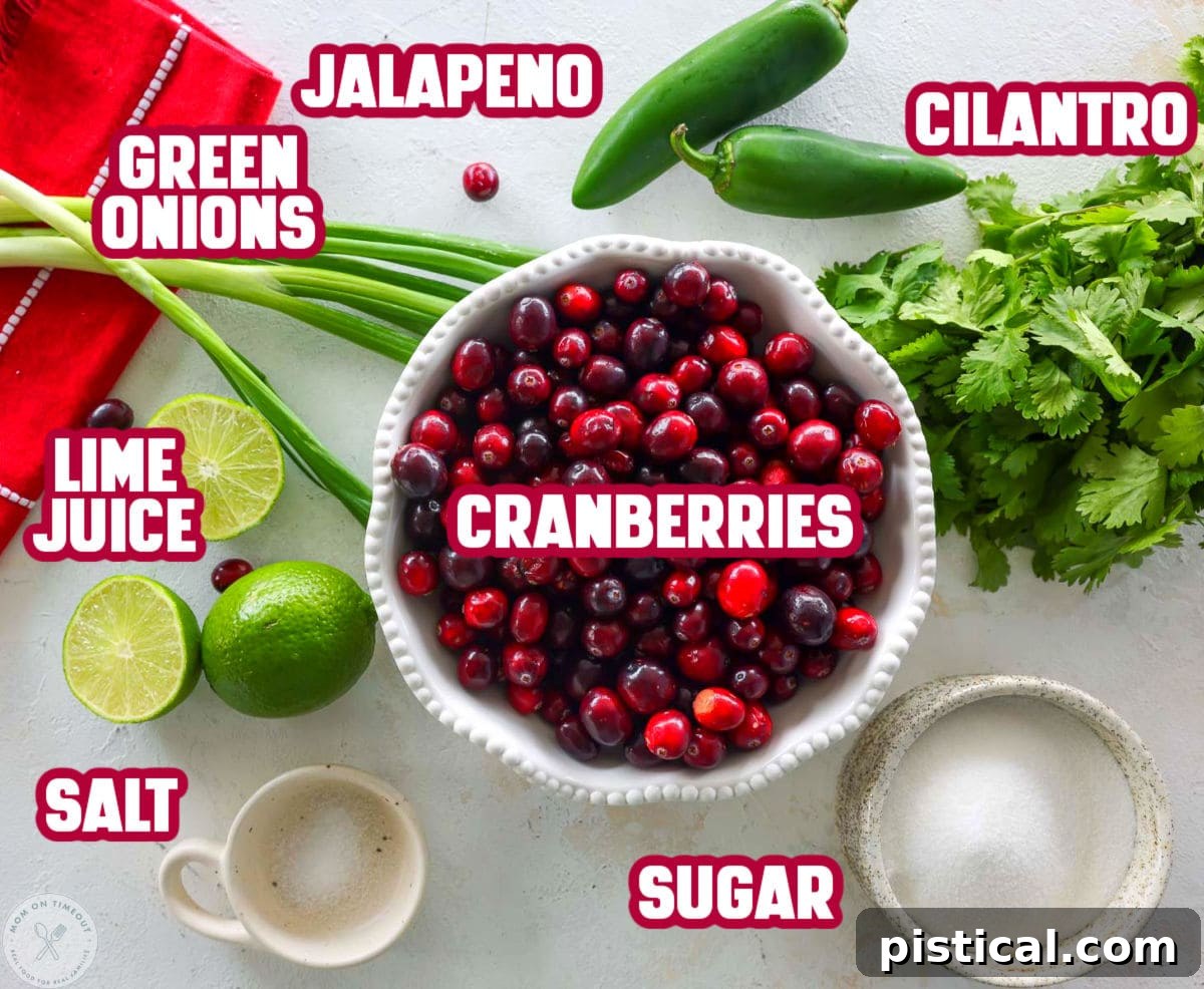 Zesty Cranberry Salsa 6 Overhead shot of labeled cranberry salsa ingredients laid out and ready to use in the recipe.