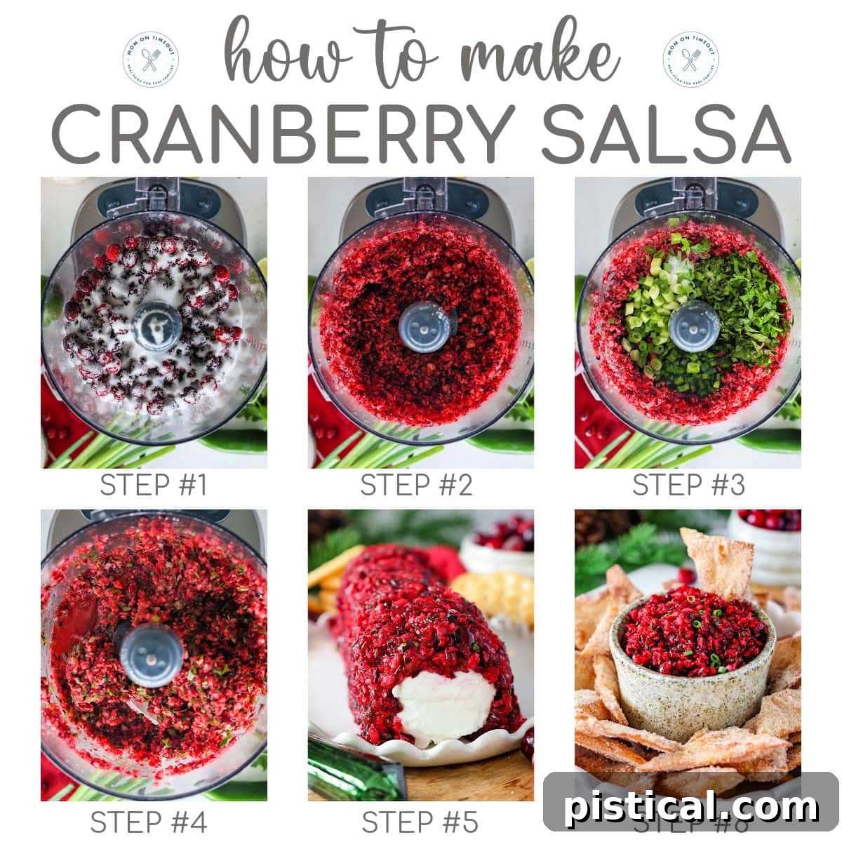 Zesty Cranberry Salsa 7 Six image graphic showing how to make cranberry salsa recipe step by step. Text overlay at top of image.