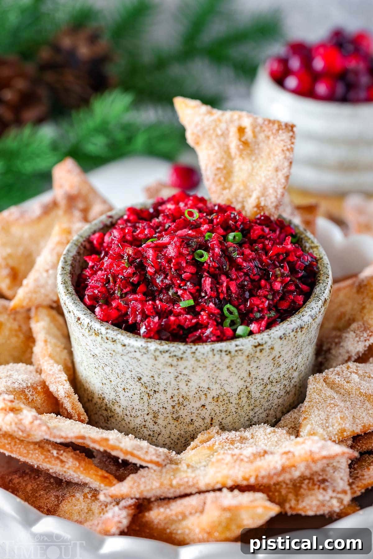 Zesty Cranberry Salsa 8 Large hand made pottery bowl with fresh cranberry salsa in it. The bowl is surround with cinnamon sugar chips.