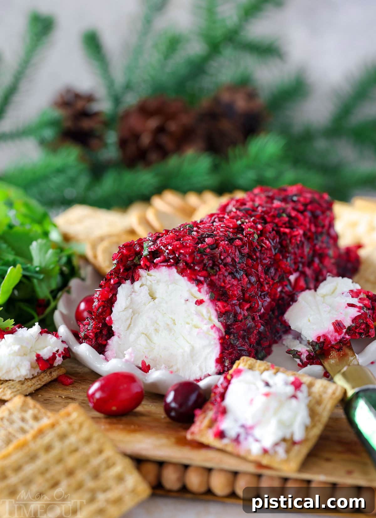 Zesty Cranberry Salsa 9 Shot of cranberry salsa coated goat cheese log on board with crackers. A green cheese knife is set beside the cheese log.